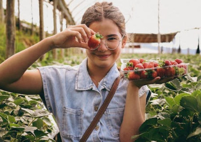 Seeding The Future Global Food System Challenge