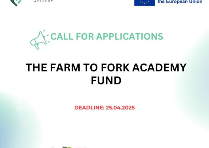 Call for Applications: Support for Civil Society Organizations in the Western Balkans