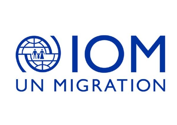 IOM: Senior ICT Assistant