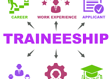 Traineeship for Programme support (Western Balkans)