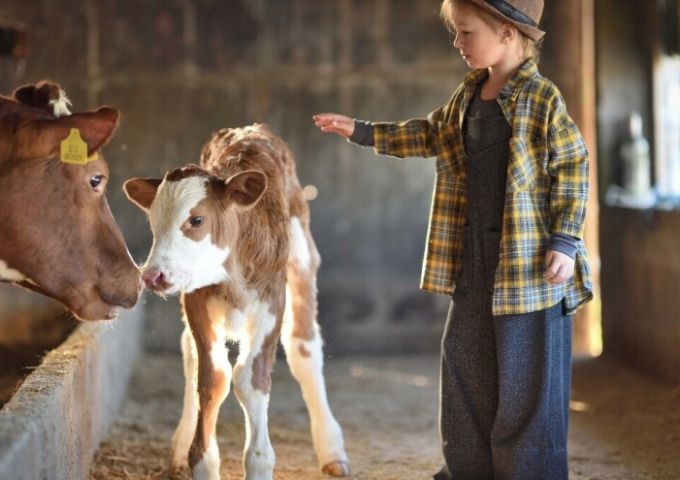 Otvoren je RuralFoto – izbor najboljih ruralnih fotografija u 2025. godini