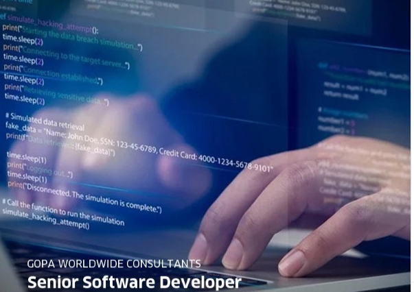Senior Software Developer