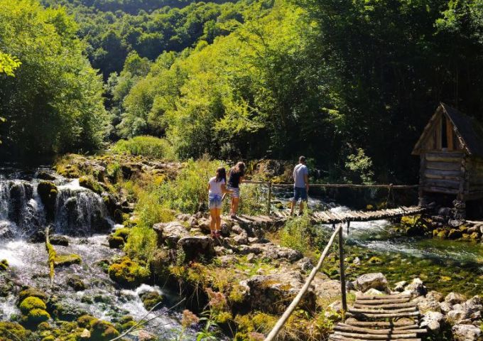 Prirodnjački kamp u Pecki