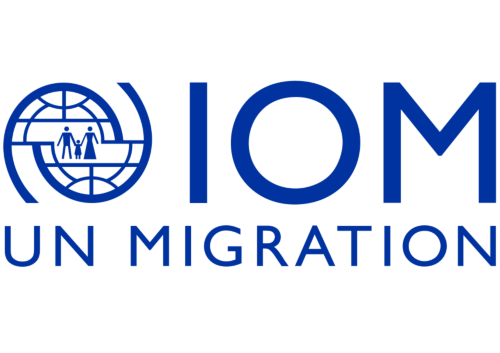 IOM: CfA 33-10/25 IT Consultant
