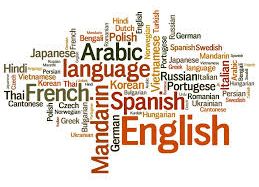 Prilika za studente Germanistike: Plaćena praksa u oblasti prevođenja