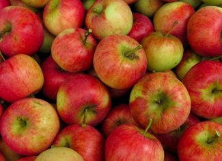 Grupa mladih voćara pokrenula inicijativu za osnivanje Specijalizovane voćarske zadruge