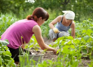 Nastavlja se podrška Italije ruralnim područjima – Kreće novi projekat ProBio BiH