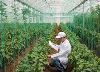 INZ i Agencija za sigurnost hrane fokus stavljaju na sigurnost i kvalitet hrane u BiH