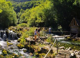 Prirodnjački kamp u Pecki