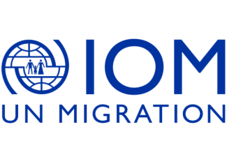 IOM: CfA 33-10/25 IT Consultant