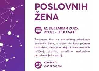 Networking poslovnih žena