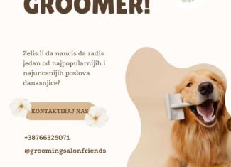 Postani profesionalni groomer! 🐾