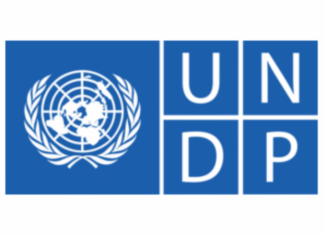 Intern – Women’s Forum for Development Platform UNDP