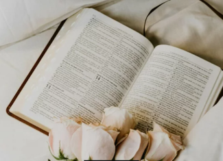 10 ljubavnih romana koji će vas zabaviti i raznježiti