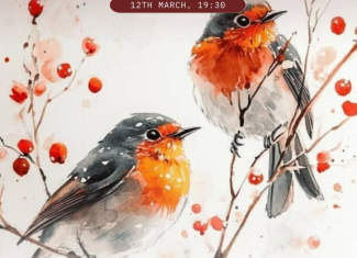 Watercolor Workshop Special Offer