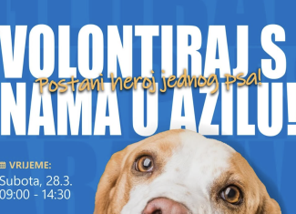 Volontiraj u PawsFriends Pansion azilu