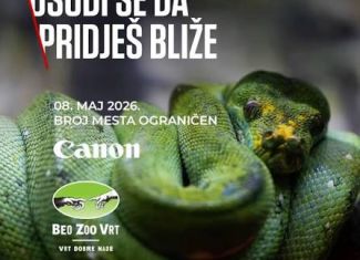 WILDLIFE foto radionice
