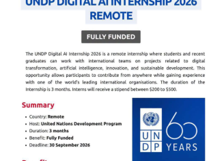 Paid UNDP Digital AI Internship 2026 - Remote