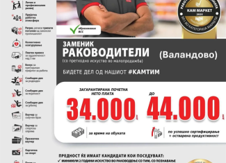 Заменик раководител