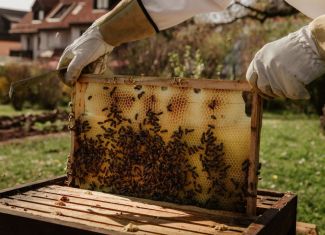 Pčelari USK upozoravaju: Klimatske promjene smanjuju prinose meda