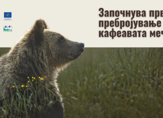 МЕД и МЖСПП го започнуваат првото генетско пребројување на кафеавата мечка