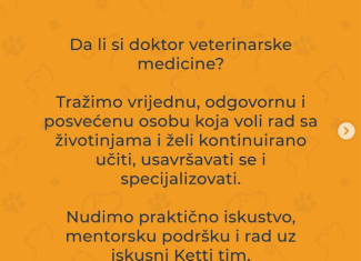 Ketti veterinarska stanica: Tražimo pripravnika/icu!