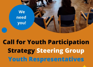 Call for youth participation strategy steering group youth representatives