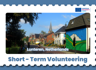 SHORT TERM VOLUNTEERING IN NETHERLANDS