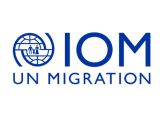 IOM: Senior ICT Assistant
