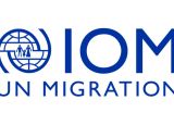 SVN 19-05/25 Project Assistant (Administration)