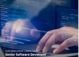 Senior Software Developer