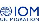 IOM: CfA 33-10/25 IT Consultant