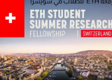 ETH Student Summer Research Fellowship