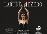 LABUĐE JEZERO DOLAZI U SARAJEVO