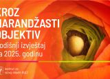 Kroz “Narandžasti objektiv”: Više od 300 učesnika u aktivnostima protiv nasilja nad ženama
