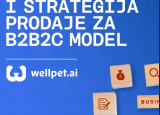Pixel Case Study – biznis model i strategija za Wellpet.ai