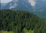Otvoren poziv za trening kurs „Leader in Me“ u Sloveniji!