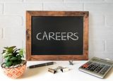 Senior Consultant in Strategy and Execution