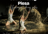 Dani savremenog plesa