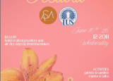 IUS SPRING FESTIVAL