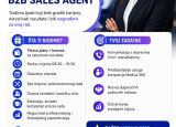 B2B Sales Agent (m/ž)