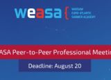 WEASA peer-to-peer professional meetings
