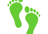 Green Steps- Rumunija