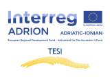 TESI-TN Master – Executive Master in Social Innovation