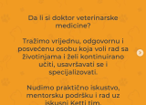 Ketti veterinarska stanica: Tražimo pripravnika/icu!