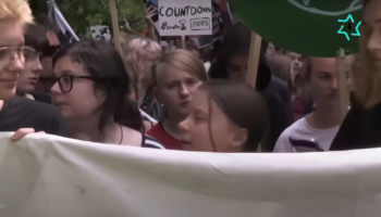 11 – Какви врски има активизмот со вработувањето?